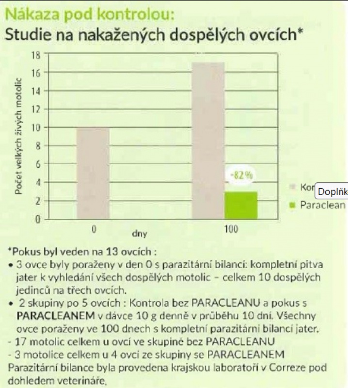 Zavt okno